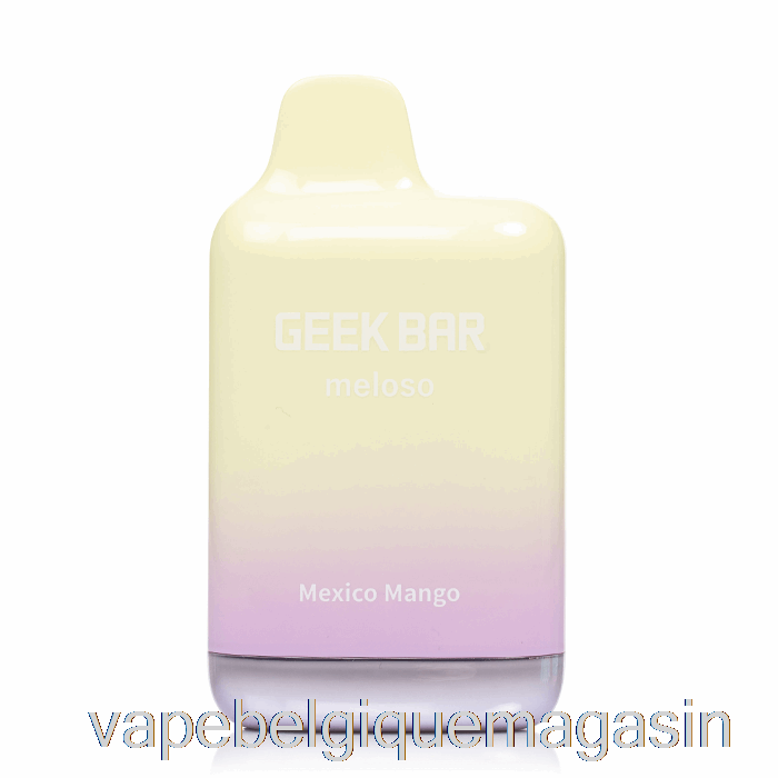 Vape Shop Bruxelles Geek Bar Meloso Max 9000 Jetable Mexique Mangue